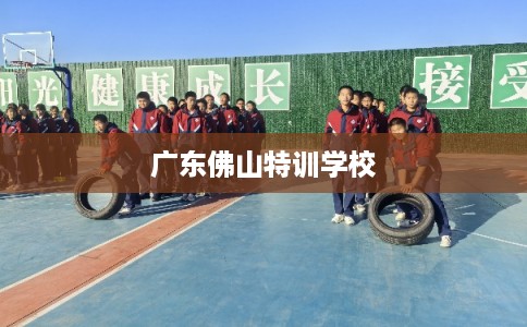 广东佛山特训学校