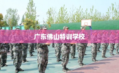 广东佛山特训学校