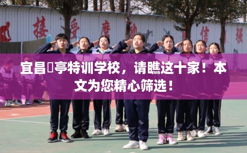 宜昌猇亭特训学校，请瞧这十家！本文为您精心筛选！