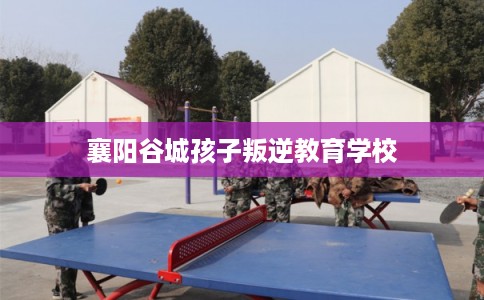 襄阳谷城孩子叛逆教育学校