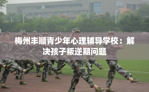 梅州丰顺青少年心理辅导学校：解决孩子叛逆期问题