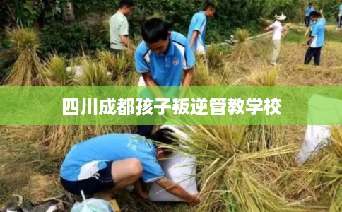 四川成都孩子叛逆管教学校