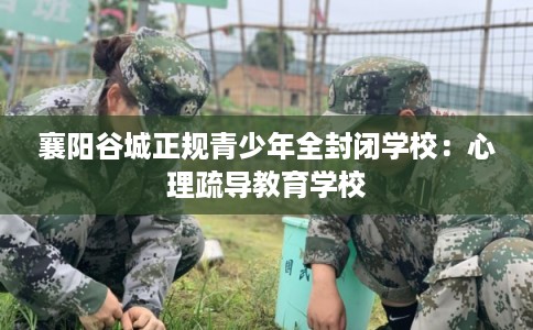 襄阳谷城正规青少年全封闭学校：心理疏导教育学校