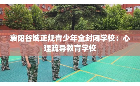 襄阳谷城正规青少年全封闭学校：心理疏导教育学校