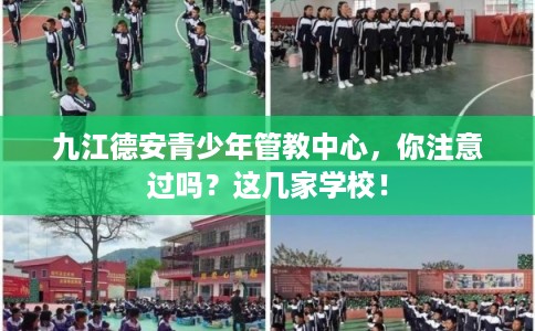 九江德安青少年管教中心,你注意过吗?这几家学校! 九江德安青少年管教中心,你注意过吗?这几家学校!
