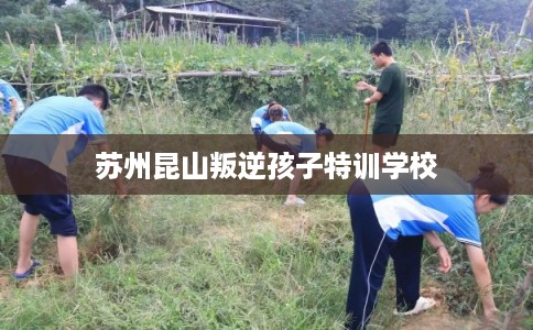 苏州昆山叛逆孩子特训学校