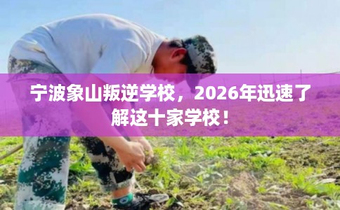 宁波象山叛逆学校，2026年迅速了解这十家学校！