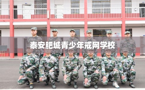 泰安肥城青少年戒网学校