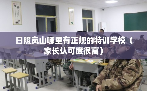 日照岚山哪里有正规的特训学校（家长认可度很高）