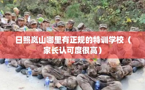 日照岚山哪里有正规的特训学校（家长认可度很高）