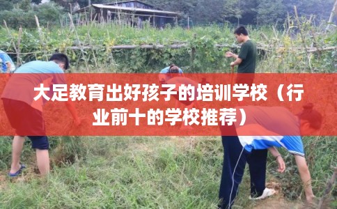 大足教育出好孩子的培训学校（行业前十的学校推荐）