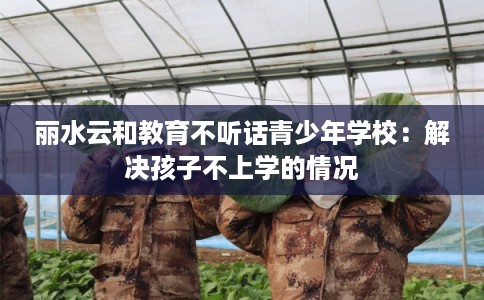 丽水云和教育不听话青少年学校：解决孩子不上学的情况