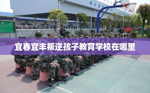 宜春宜丰叛逆孩子教育学校在哪里