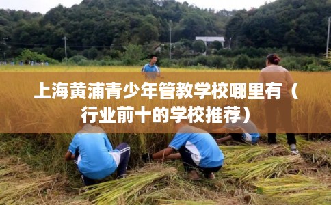 上海黄浦青少年管教学校哪里有（行业前十的学校推荐）