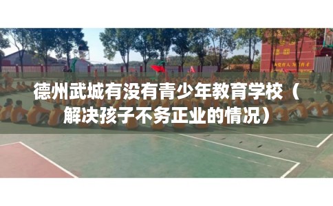 德州武城有没有青少年教育学校（解决孩子不务正业的情况）