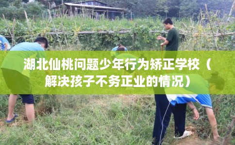 湖北仙桃问题少年行为矫正学校（解决孩子不务正业的情况）