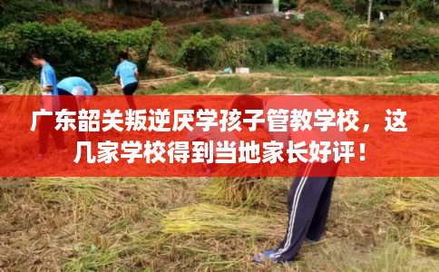 广东韶关叛逆厌学孩子管教学校，这几家学校得到当地家长好评！