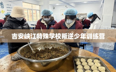吉安峡江特殊学校叛逆少年训练营