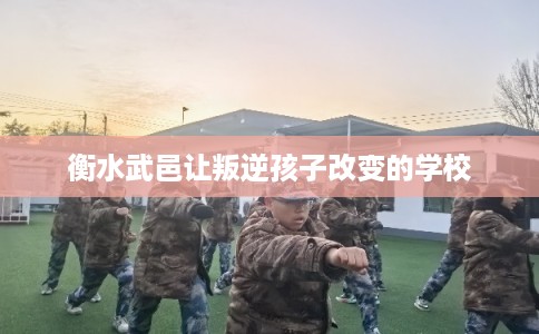 衡水武邑让叛逆孩子改变的学校