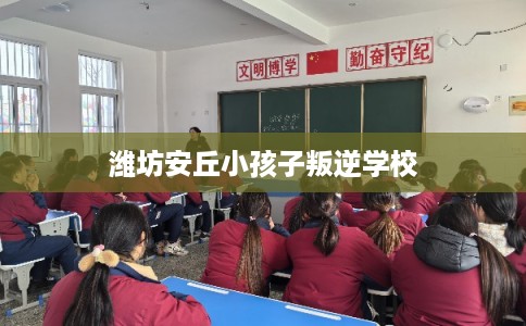 潍坊安丘小孩子叛逆学校