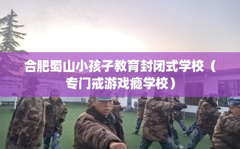合肥蜀山小孩子教育封闭式学校（专门戒游戏瘾学校）