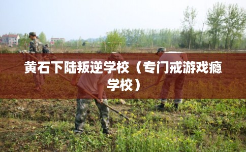 黄石下陆叛逆学校（专门戒游戏瘾学校）