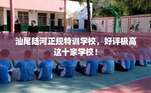汕尾陆河正规特训学校，好评极高这十家学校！