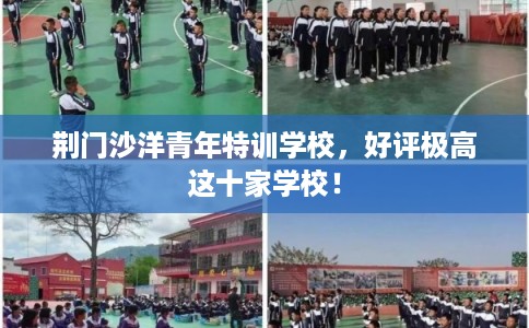 荆门沙洋青年特训学校，好评极高这十家学校！