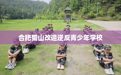 合肥蜀山改造逆反青少年学校
