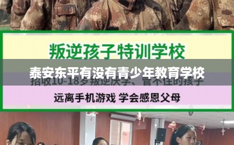 泰安东平有没有青少年教育学校
