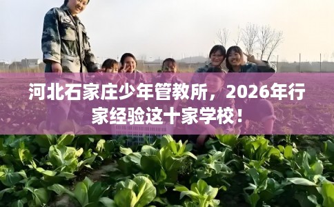 河北石家庄少年管教所，2026年行家经验这十家学校！