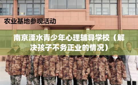 南京溧水青少年心理辅导学校（解决孩子不务正业的情况）