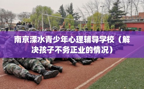 南京溧水青少年心理辅导学校（解决孩子不务正业的情况）