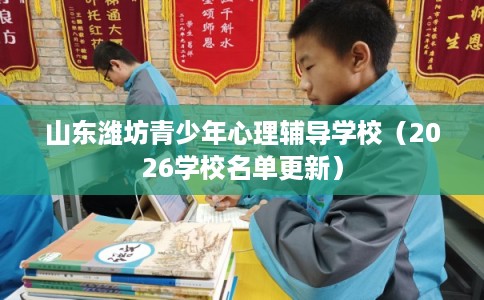 山东潍坊青少年心理辅导学校（2026学校名单更新）