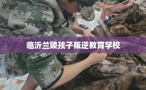 临沂兰陵孩子叛逆教育学校