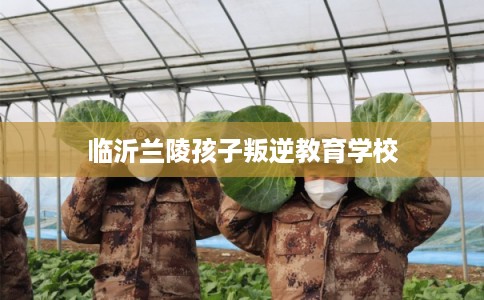 临沂兰陵孩子叛逆教育学校