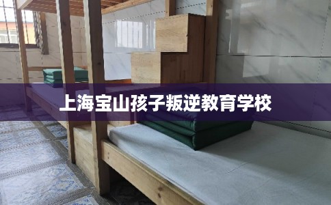 上海宝山孩子叛逆教育学校