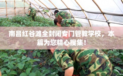 南昌红谷滩全封闭专门管教学校，本篇为您精心搜集！