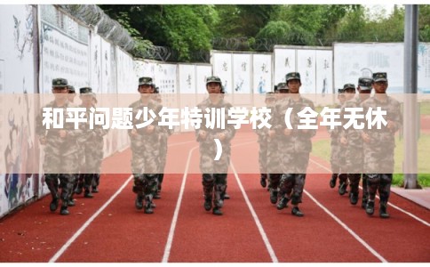 和平问题少年特训学校（全年无休）