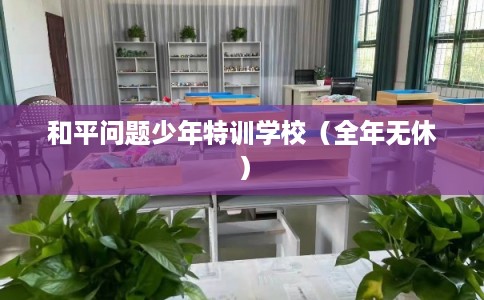 和平问题少年特训学校（全年无休）