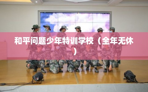 和平问题少年特训学校（全年无休）