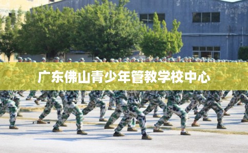 广东佛山青少年管教学校中心