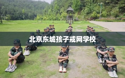 北京东城孩子戒网学校