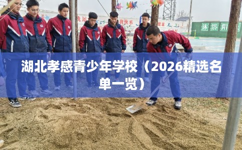 湖北孝感青少年学校（2026精选名单一览）