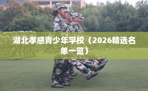 湖北孝感青少年学校（2026精选名单一览）