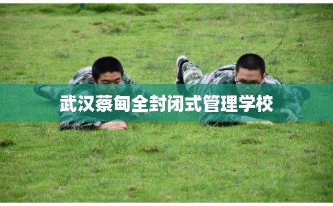 武汉蔡甸全封闭式管理学校