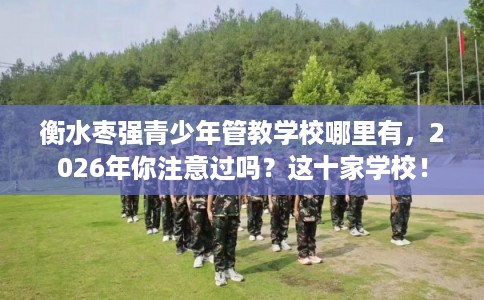 衡水枣强青少年管教学校哪里有，2026年你注意过吗？这十家学校！