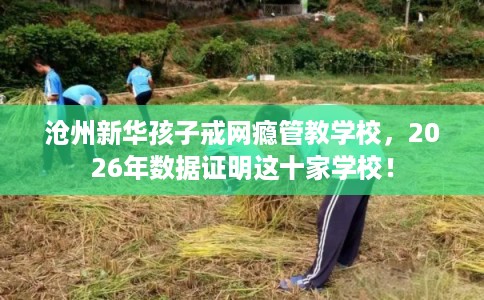 沧州新华孩子戒网瘾管教学校，2026年数据证明这十家学校！