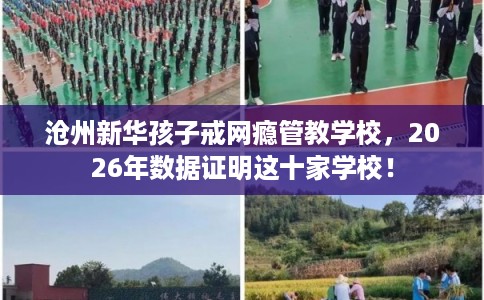 沧州新华孩子戒网瘾管教学校，2026年数据证明这十家学校！