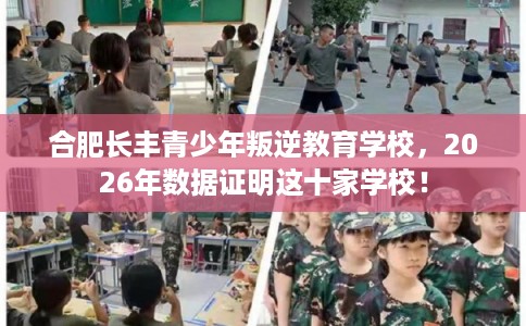 合肥长丰青少年叛逆教育学校，2026年数据证明这十家学校！